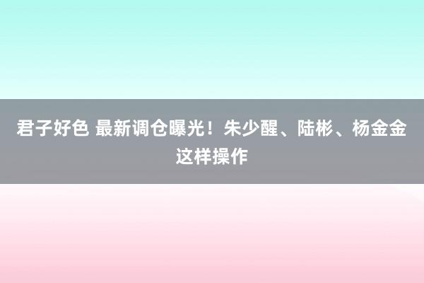 君子好色 最新调仓曝光！朱少醒、陆彬、杨金金这样操作