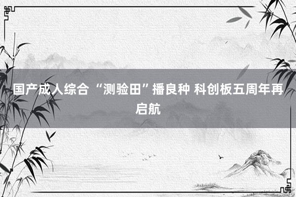国产成人综合 “测验田”播良种 科创板五周年再启航