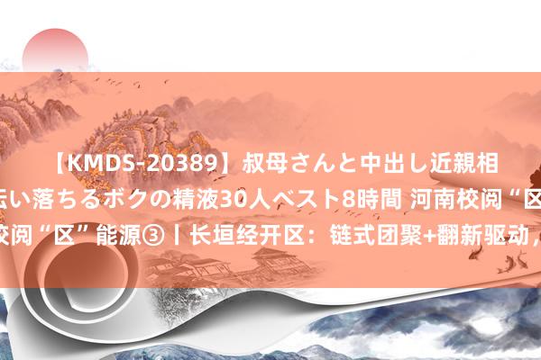 【KMDS-20389】叔母さんと中出し近親相姦 叔母さんの身体を伝い落ちるボクの精液30人ベスト8時間 河南校阅“区”能源③丨长垣经开区：链式团聚+翻新驱动，培育千亿产业集群