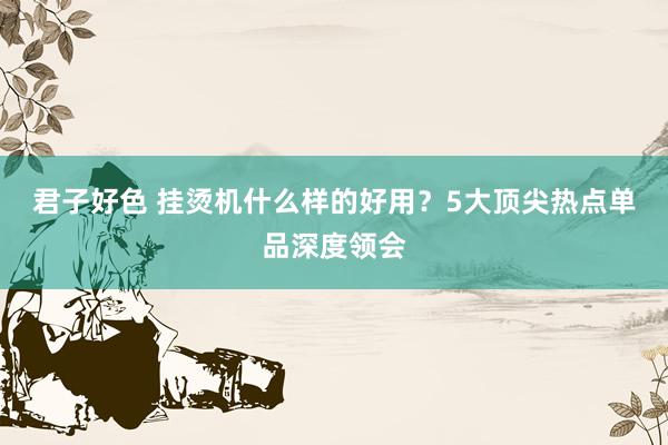君子好色 挂烫机什么样的好用？5大顶尖热点单品深度领会