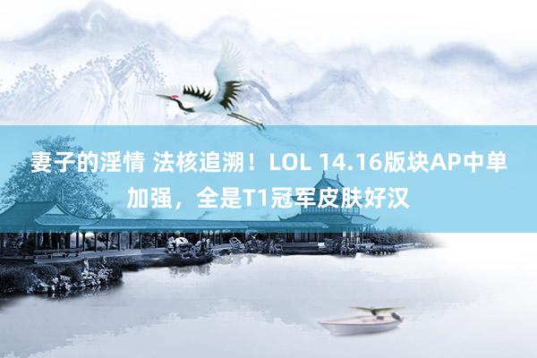 妻子的淫情 法核追溯！LOL 14.16版块AP中单加强，全是T1冠军皮肤好汉