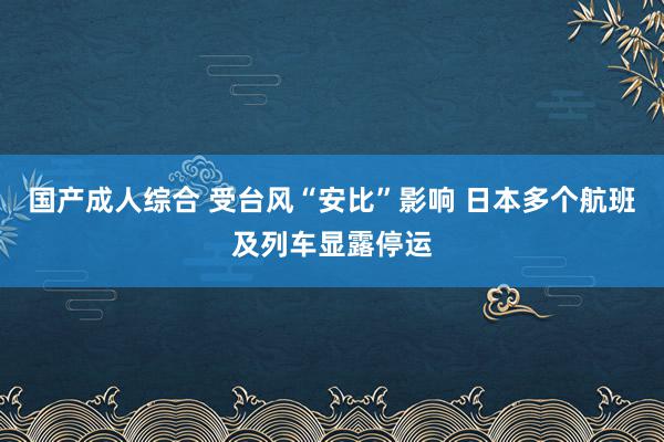 国产成人综合 受台风“安比”影响 日本多个航班及列车显露停运