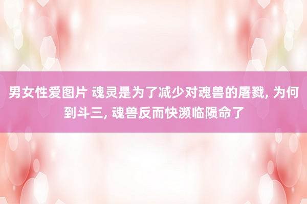 男女性爱图片 魂灵是为了减少对魂兽的屠戮, 为何到斗三, 魂兽反而快濒临陨命了
