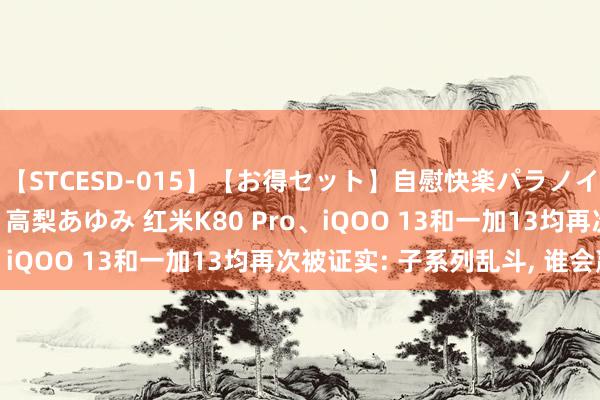 【STCESD-015】【お得セット】自慰快楽パラノイド 大場ゆい 本庄優花 高梨あゆみ 红米K80 Pro、iQOO 13和一加13均再次被证实: 子系列乱斗, 谁会赢