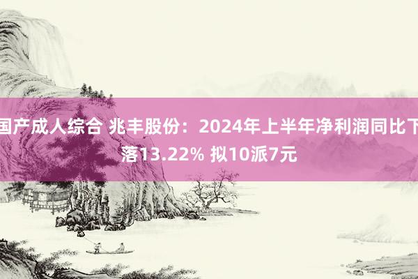 国产成人综合 兆丰股份：2024年上半年净利润同比下落13.22% 拟10派7元