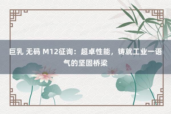 巨乳 无码 M12征询：超卓性能，铸就工业一语气的坚固桥梁