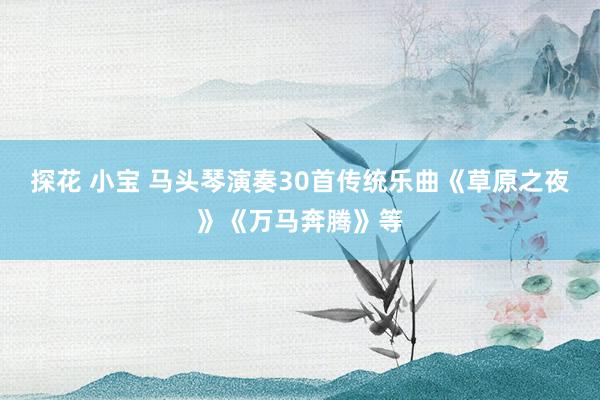 探花 小宝 马头琴演奏30首传统乐曲《草原之夜》《万马奔腾》