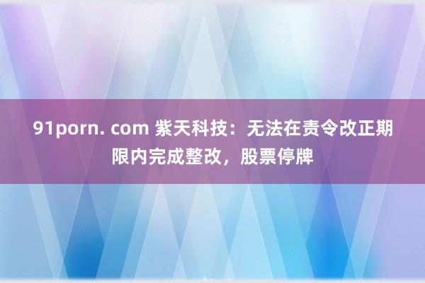 91porn. com 紫天科技：无法在责令改正期限内完成整
